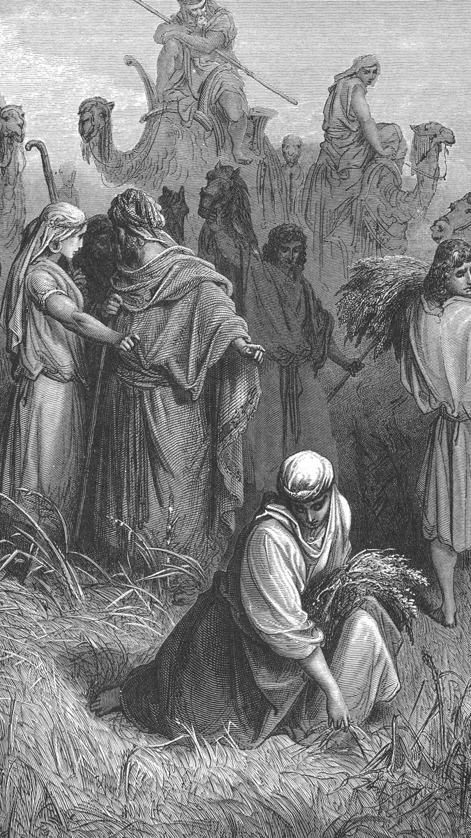 Gravura de Gustave Doré: campo de trigo; em primeiro plano, uma mulher ajoelhada recolhe espigas; em volta, ceifeiros com feixes; ao fundo, homens em camelos.
